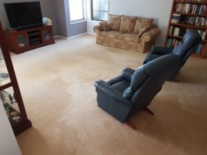 Lounge Carpet Cleaning