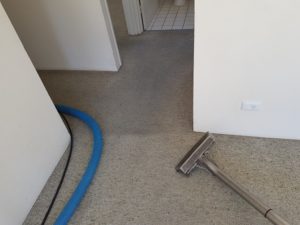 Carpet cleaning in Rental Properties.